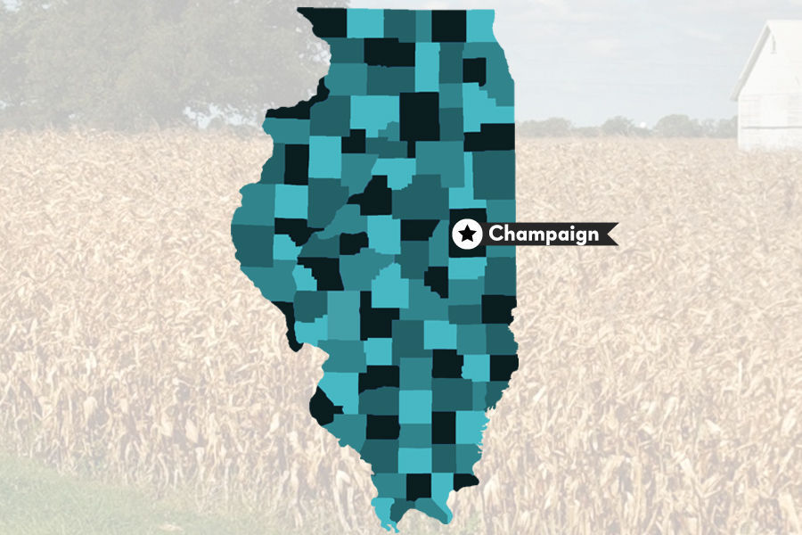 7. Champaign